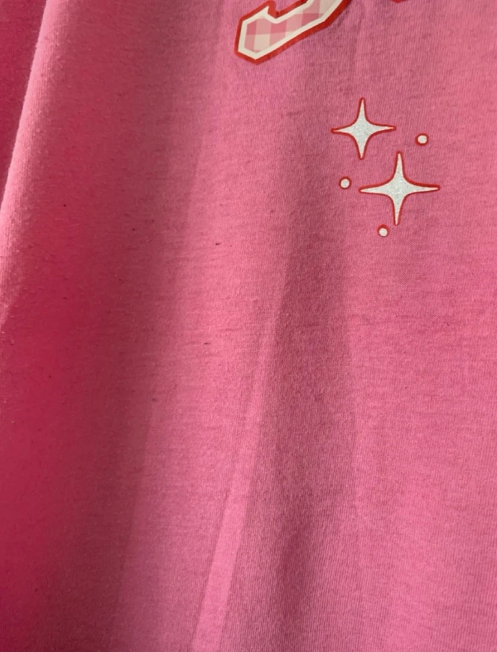 Women's Pink/Red Vichy Check Scorpion T-Shirt - Size 1XL Curve – photo 4